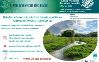 Journée mondiale Zones Humides – visite Bénusse