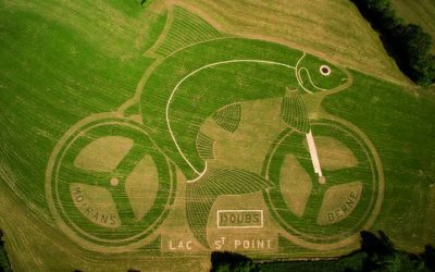 Corégone Géant du Tour de France !