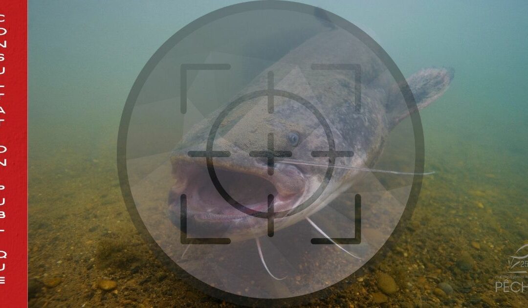 DOUBLE CONSULTATION PUBLIQUE – C&rsquo;est le moment de donner votre avis !