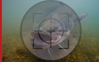 DOUBLE CONSULTATION PUBLIQUE – C’est le moment de donner votre avis !