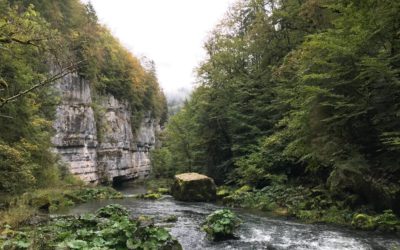 Ouverture de la pêche de la truite sur le secteur frontalier le 1er mars