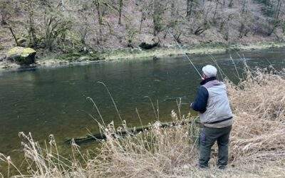 Ouverture de la pêche de la truite sur le Doubs Frontière le 1er mars