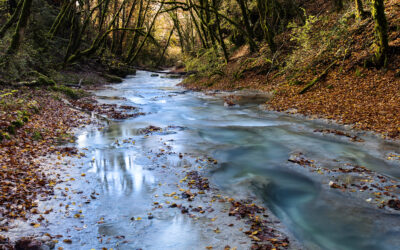 Niveau alerte renforcée à compter du 3 juillet sur 2 nouvelles zones d&rsquo;alerte du bassin versant de l&rsquo;Allan et des moyennes vallées du Doubs et de l&rsquo;Ognon