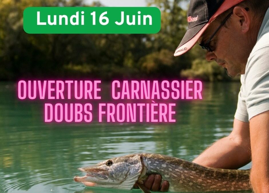 Ouverture de la pêche du carnassier sur le Doubs Frontière le 16 juin