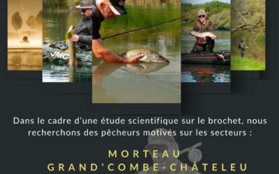 Recherche des pêcheurs de brochets pour participer à une étude scientifique sur la fenêtre de capture du brochet – Expérimentation 2025-2027