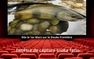 1er Mars: Ouverture anticipée de la pêche de la truite en 1ère catégorie – Secteur Doubs frontière