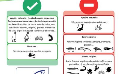 Fermeture de  la pêche du brochet le 29 janvier