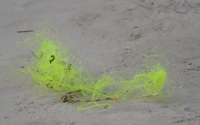 Ne laissez pas vos fils de pêche au bord de l’eau !